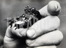 Photo de presse vintage