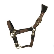 EQuest Licol Unique Pour