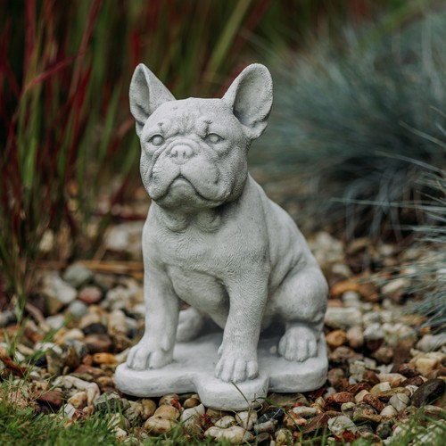 Chien bouledogue français