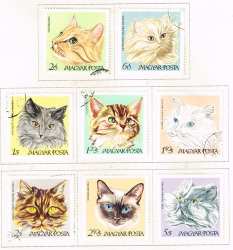 Hungary fauna cats set 1968 - hungary,