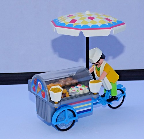 Playmobil glacier avec - -,