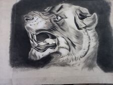 Dessin  Ancien  XIXE  Portrait Animalier Tigre Signé à identifier
