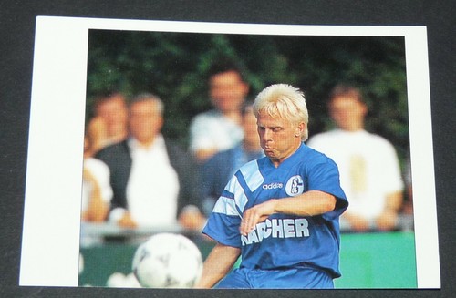 296 weidemann schalke 04 - schalke,