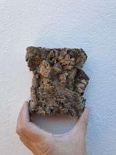 Écorce chêne liége