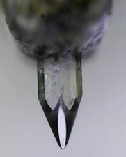 cellule platine vinyle Bang et