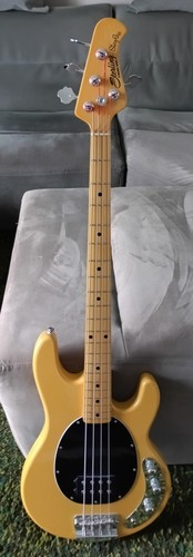 Basse sterling music man - basse,