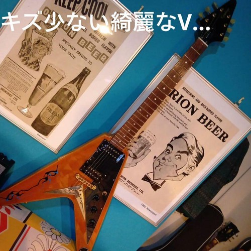 Epiphone korina flying - !korina…flying, v
