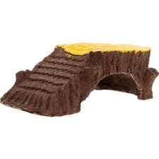  Accessoire Terrarium Décoration Plate-forme De Bains Soleil Reptile