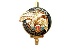 BREVET DES COMMANDOS 1° RPIMA COMMANDO AGUERRISSEMENT (VARIANTE OR) Y. DELSART