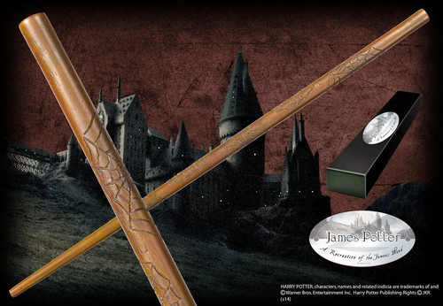 Harry potter baguette james - -,