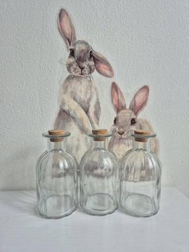 Lot bocaux en verre - lot,