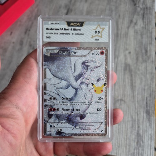 Carte gradée pokémon