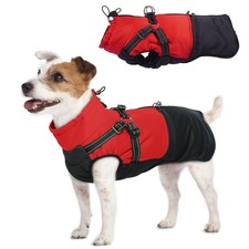 Manteau Chien  Manteaux