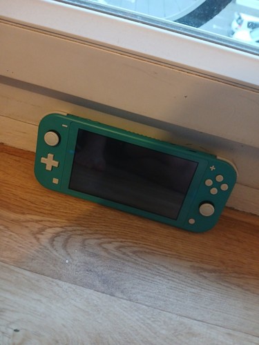 Nintendo switch lite console - nintendo,
