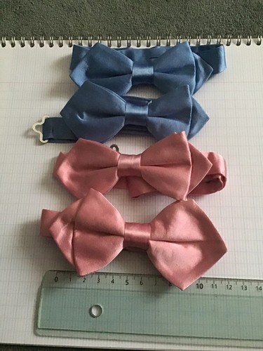 Noeud papillon choix 100 - papillon, au