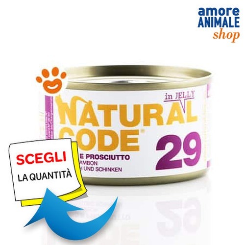 Natural code chat - 29,