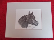 Beau Tableau De Cheval Dessin