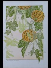 MAURICE PILLARD VERNEUIL, MANTE RELIGIEUSE - 1904 - LITHOGRAPHIE, ART NOUVEAU