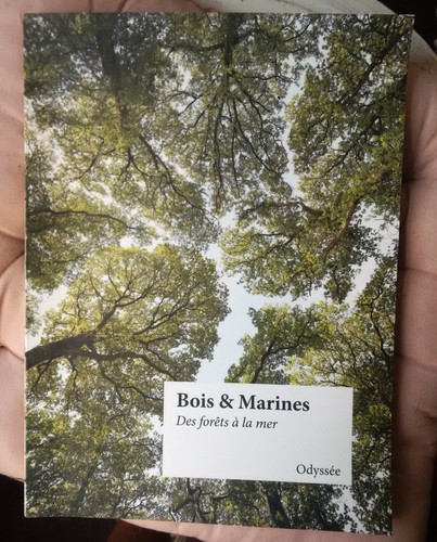 Bois marines des forêts - bois,