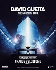 1 Place concert David Guetta Stade Vélodrome / Pelouse / Juin 2025 (E-billets)