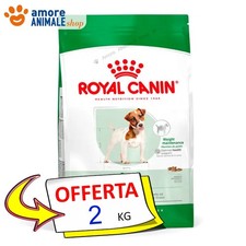 Royal Canin Chien → Adulte