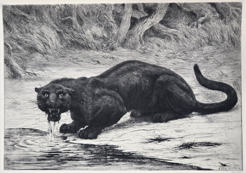 Eau forte originale 1901