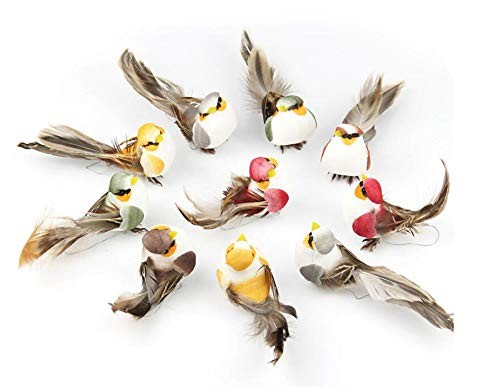 Pcs oiseaux figurines - oiseaux,