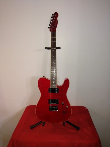 Fender custom telecaster - se,