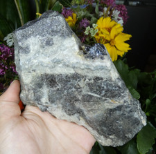 Galène & Quartz & Agate zonée Pontgibaud 16x10.5cm France minéral collection