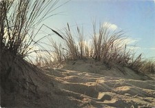 40 LINX LES DUNES DE L OCEAN