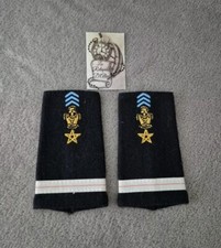 Paire de fourreaux d'épaule