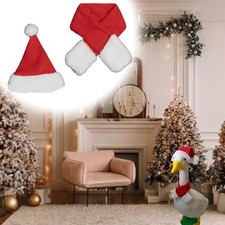 Foulard et chapeau costume oie