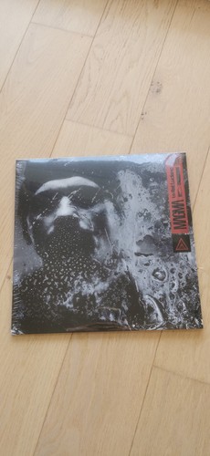 Vinyle rat luciano magma - le,