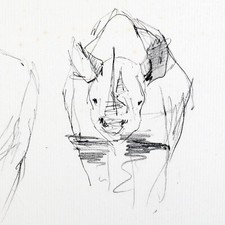 Pierre Letellier Rhinocéros