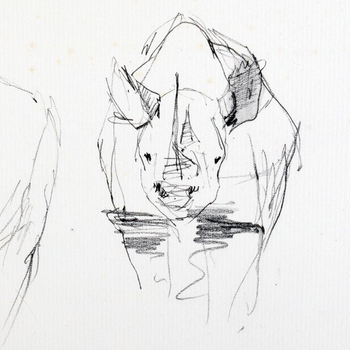 Pierre letellier rhinocéros - pierre,