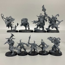 Untamed Beasts Warhammer Âge