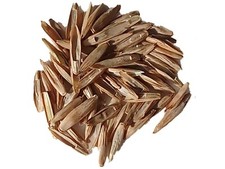 Ray Grass Anglais Oustal - Lolium Perenne L. - Perennial Rye-Grass - SEM14