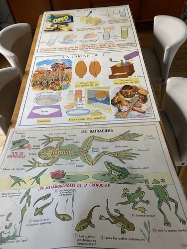 Lot affiches scolaires - affiches,