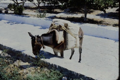 C1970 35mm slide - c1970's, slide,