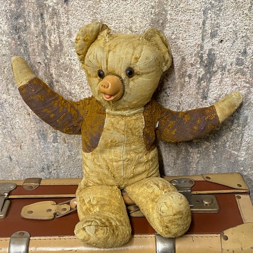 Ancien ours peluche - ancien, museau