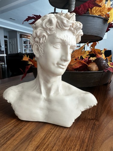 Bust michaelangelo david - bust, of