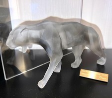 Petite panthère sauvage grise