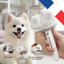 La Brosse à vapeur pour chat 3-en-1 est enfin là !