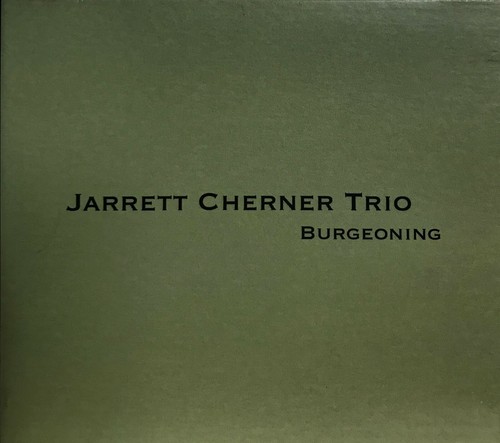Jarrett cherner trio - jarrett,