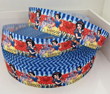 Ruban Gros Grain Personnage