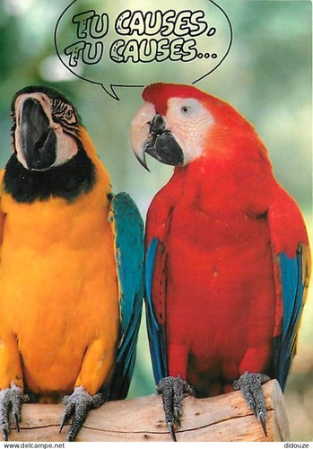Carte postale animaux - carte,