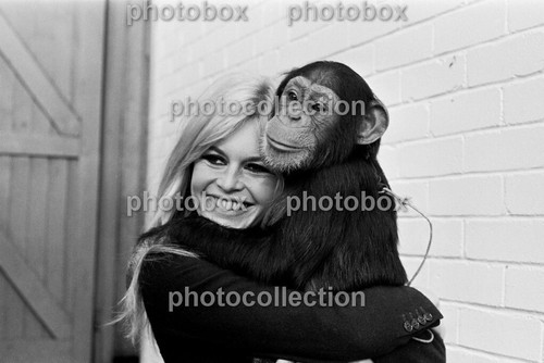 Brigitte bardot exclusive - brigitte,