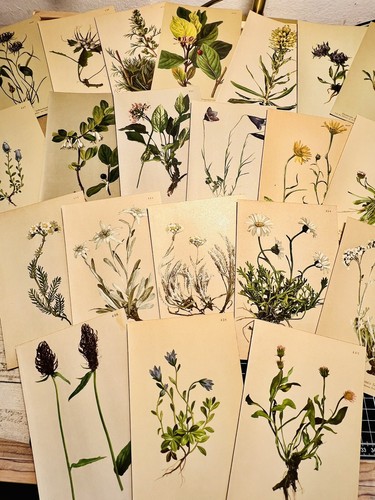 Lot chromolithographies - de,