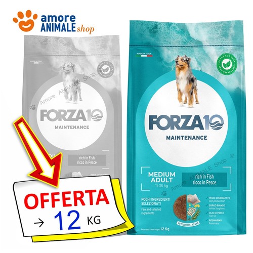 Forza10 chien entretien - chien, →