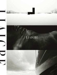 Liaigre projects de - 12,